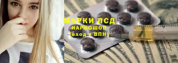 шишки Лагань