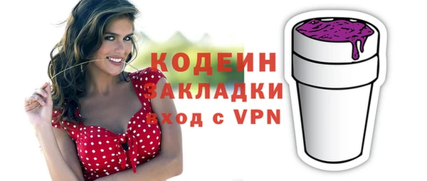 шишки Лагань
