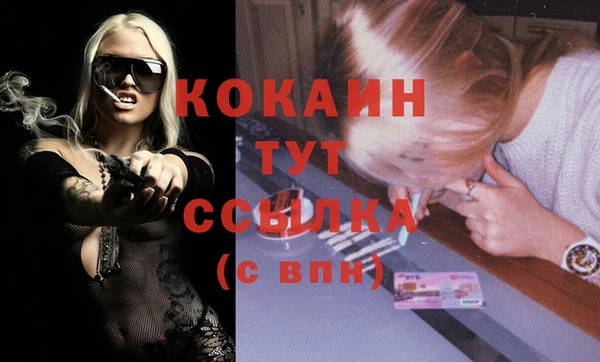шишки Лагань