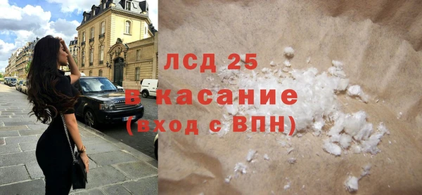 шишки Лагань