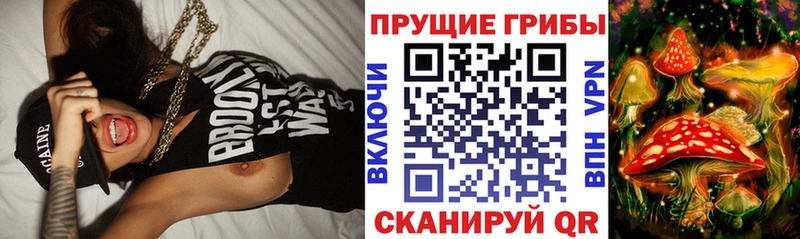 Купить  Благовещенск  Псилоцибиновые грибы GOLDEN TEACHER 