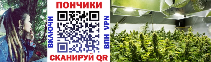 МАРИХУАНА планчик Благовещенск